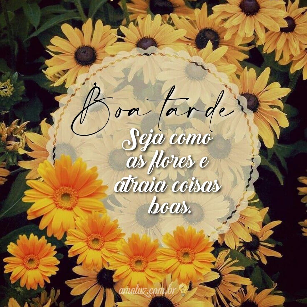 Flores e boa tarde