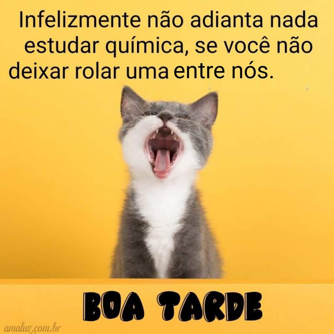 Frases engraçadas de boa tarde