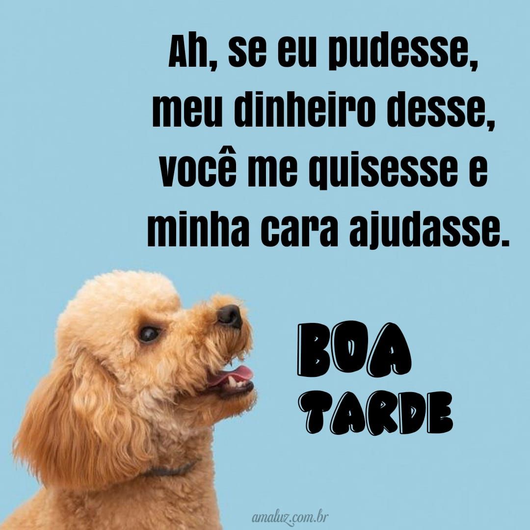 Frases engraçadas de boa tarde