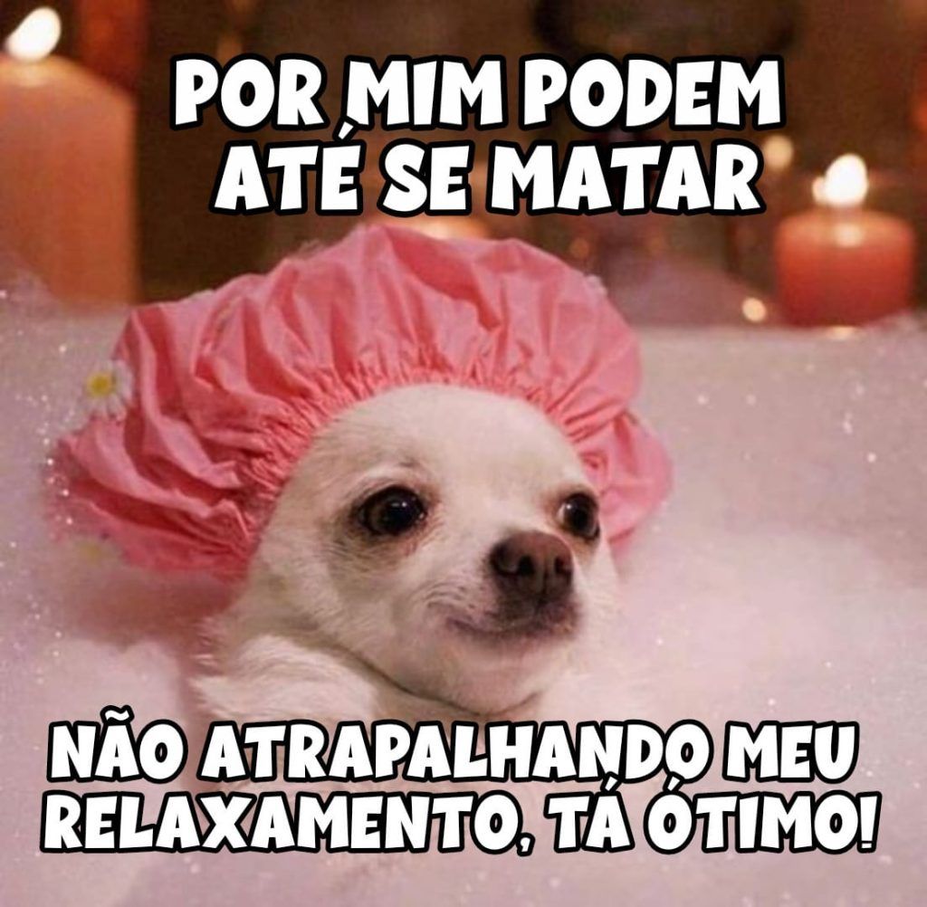 Humor com imagens engraçadas