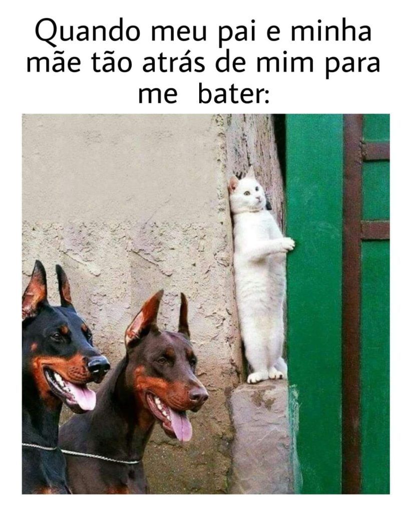 Imagens com humor engraçadas