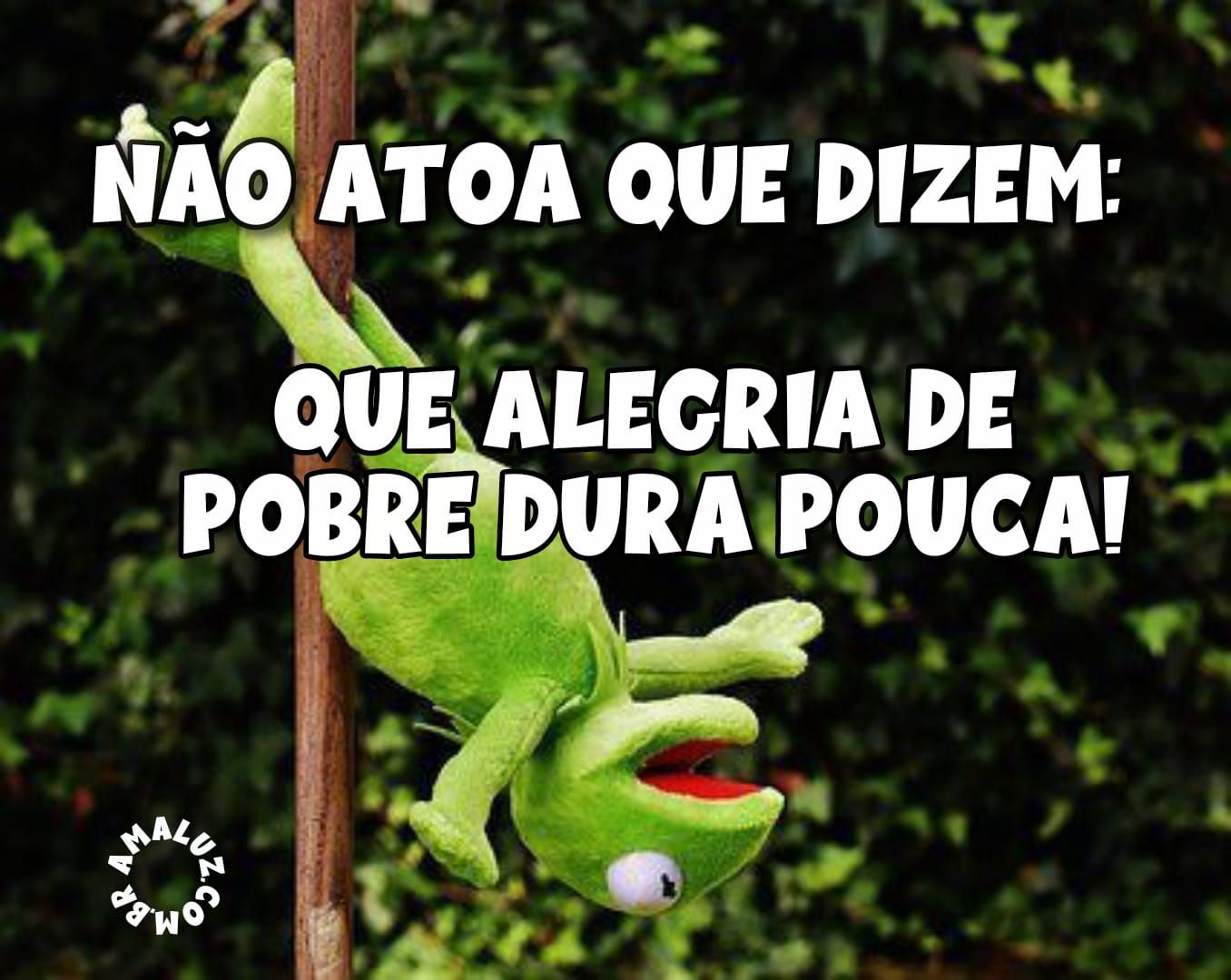 Imagens com humor para status do whatsapp