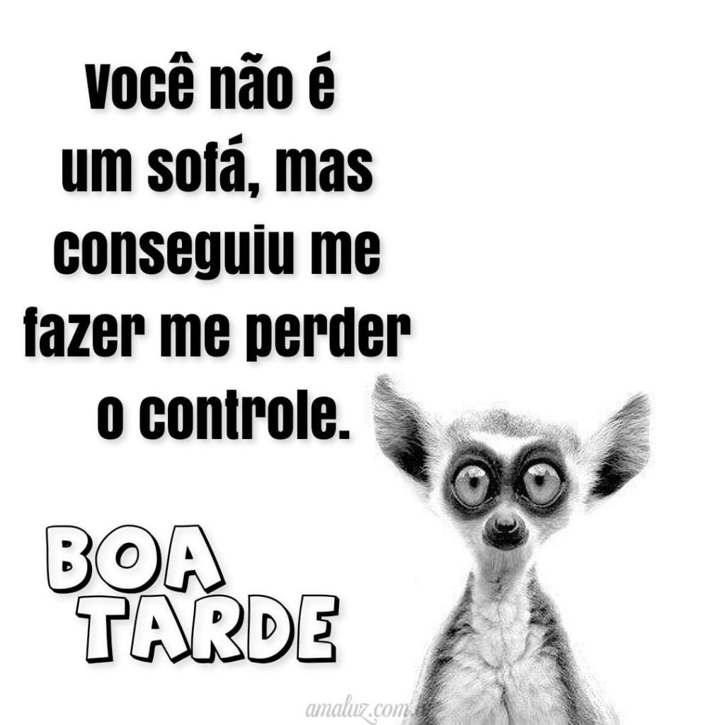 Imagens de boa tarde com humor engraçada