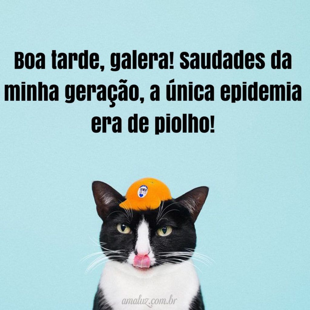 Imagens de boa tarde para grupo engraçadas