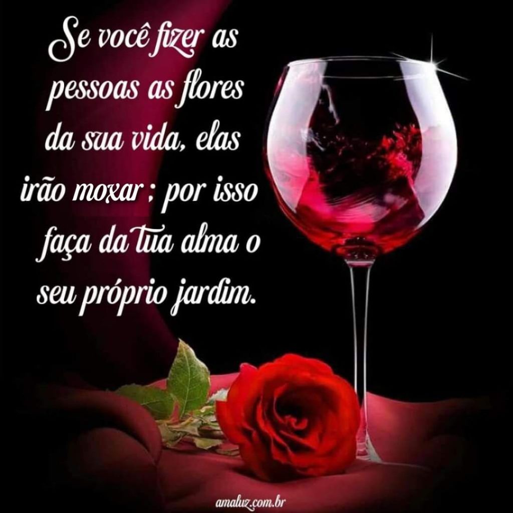 Imagens-de-flores-para-status