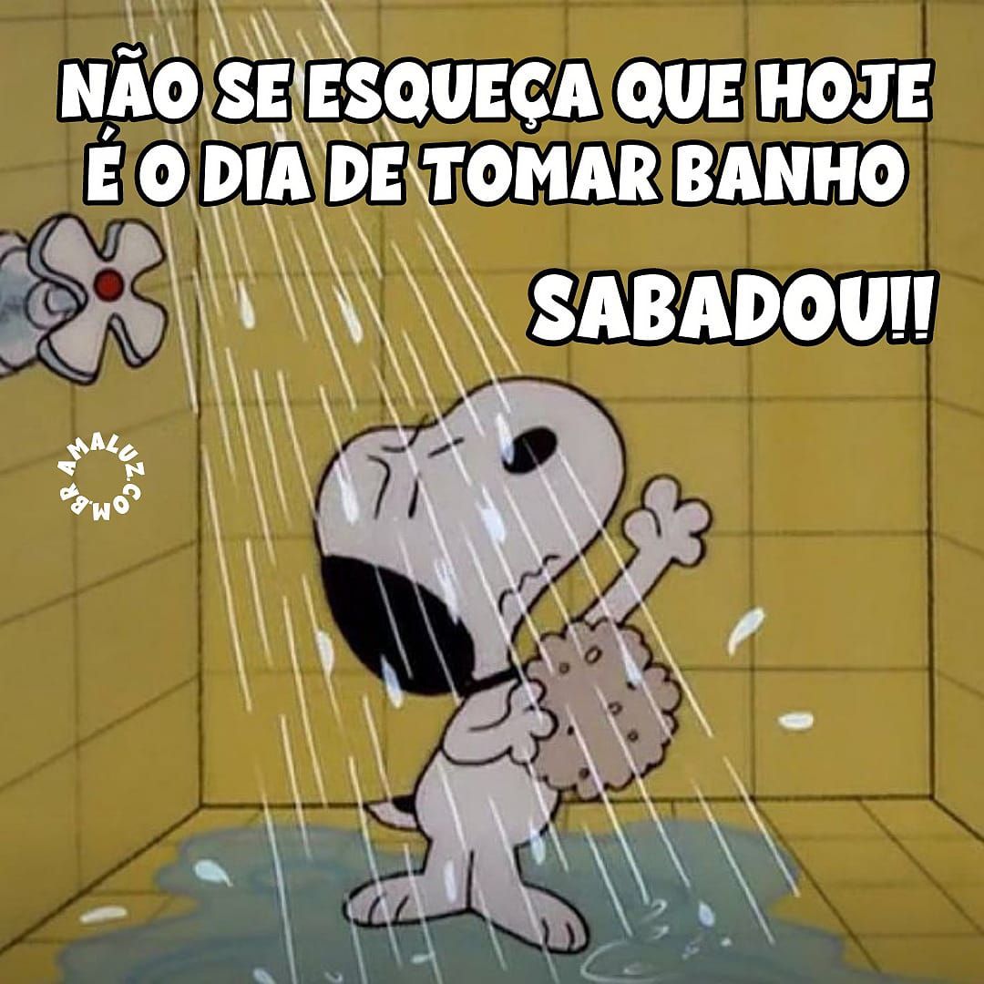 Imagens engraçadas para grupos do whatsapp