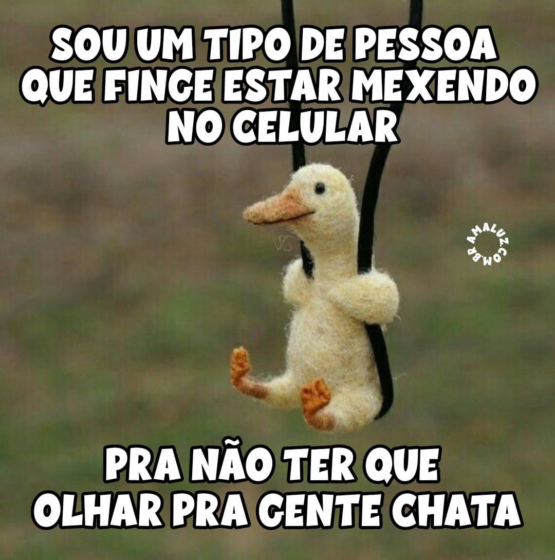 Melhores Memes em Imagens - Frases engraçadas para status 🤣☝ 