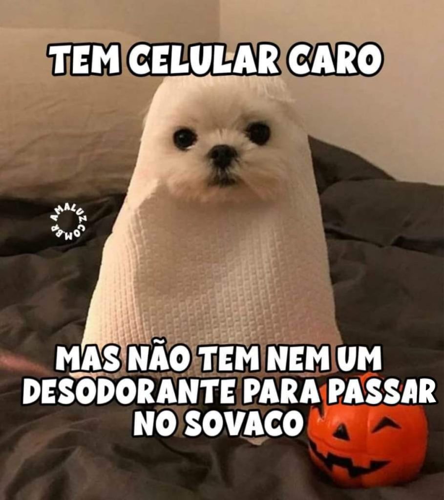 Imagens-para-sorrir-e-dar-gargalhadas