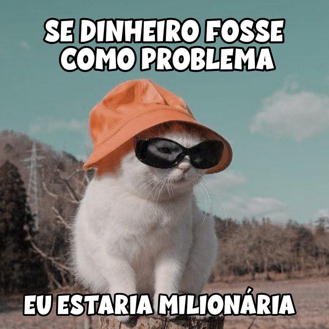 Memes Engraçados para Whatsapp com Belas Frases e Imagens