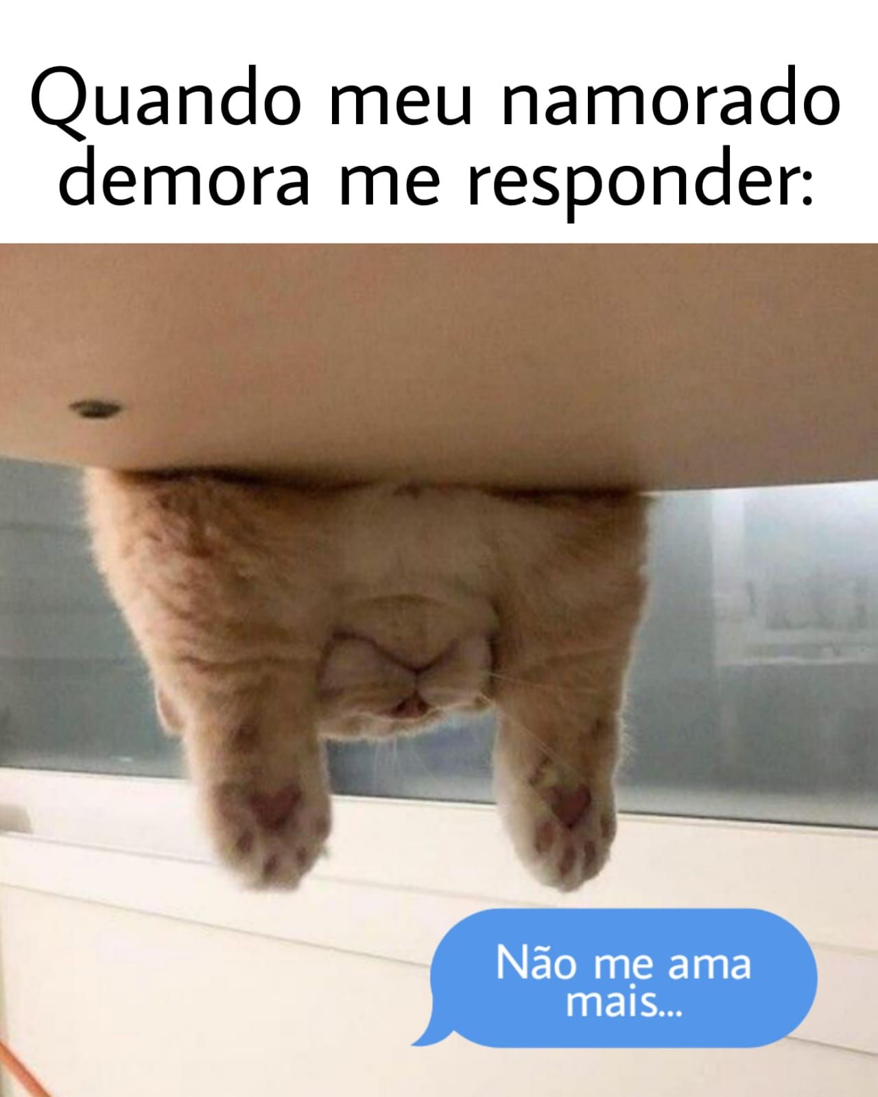 40 Memes Engraçados do Momento com Fatos incríveis da vida