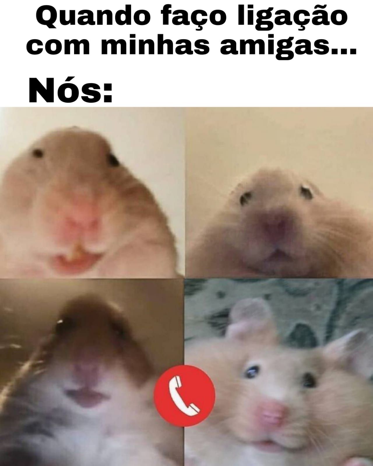 Memes dos momentos com fatos da vida