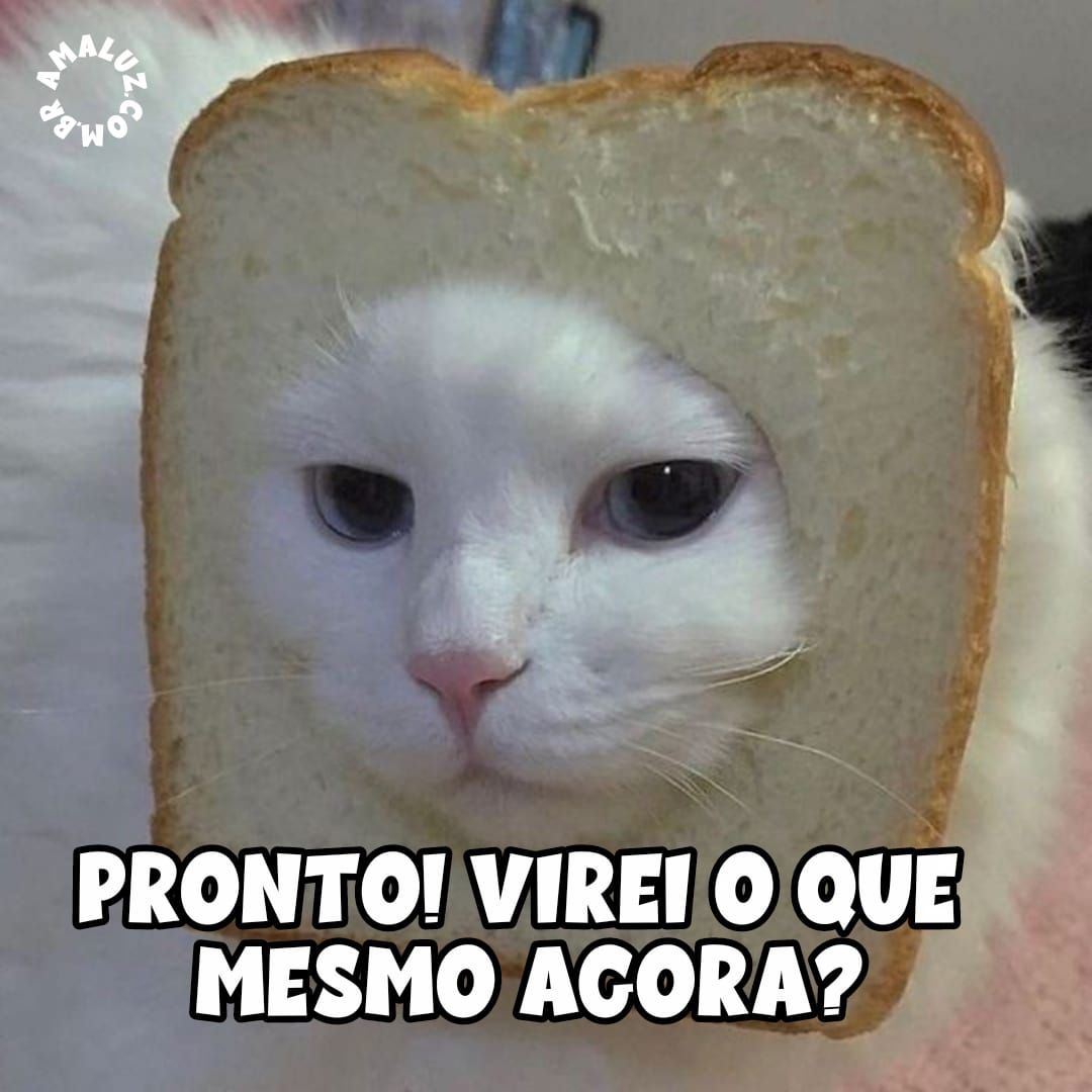 Mensagens divertidas para grupos