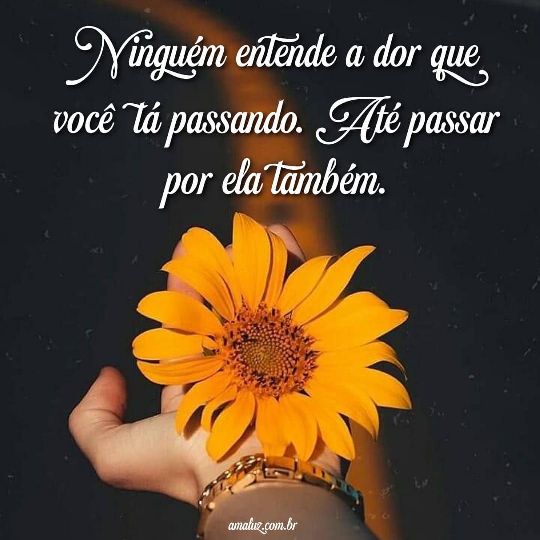 Mensagens trsites para status