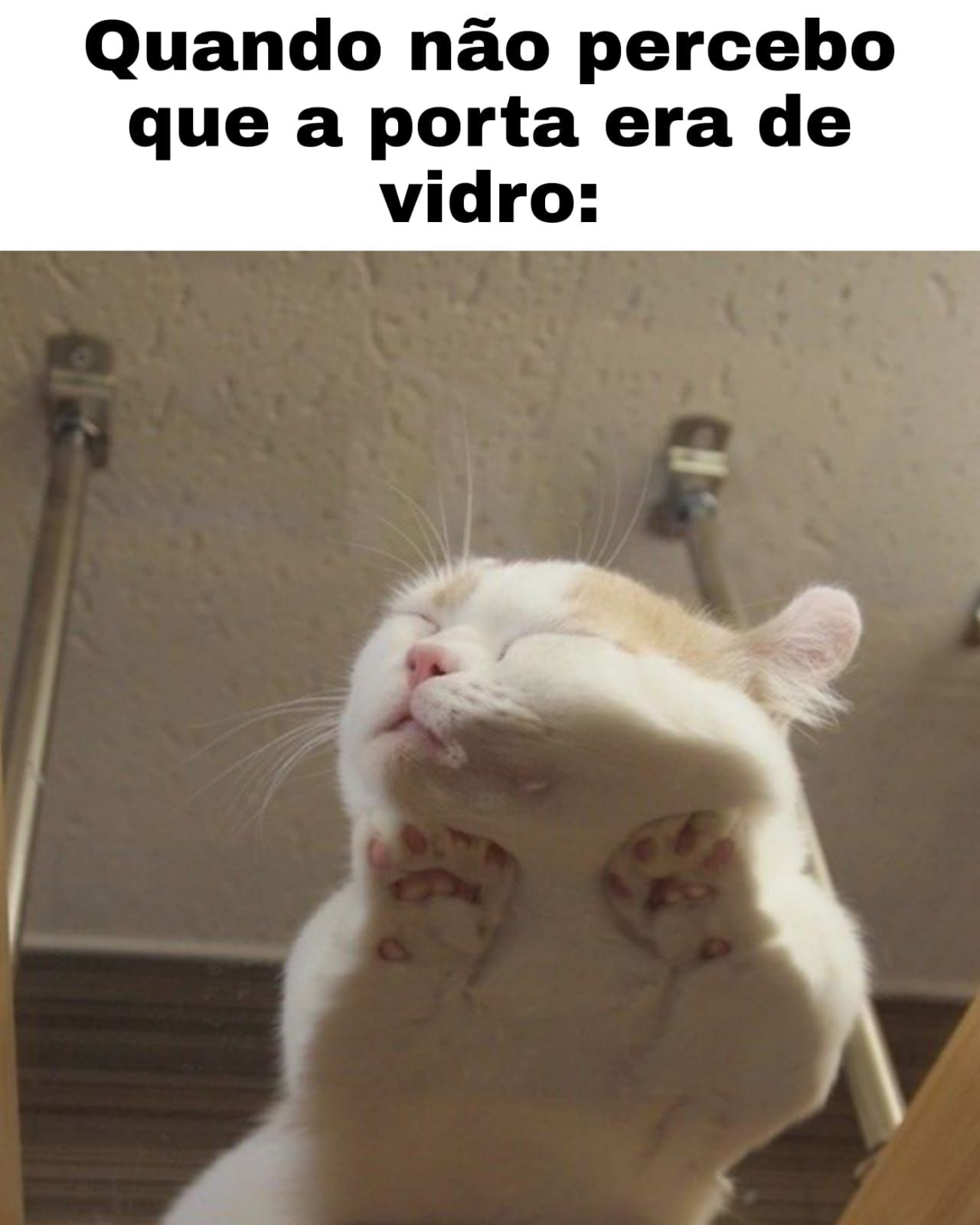 Quando não percebo que a porta era de vidro