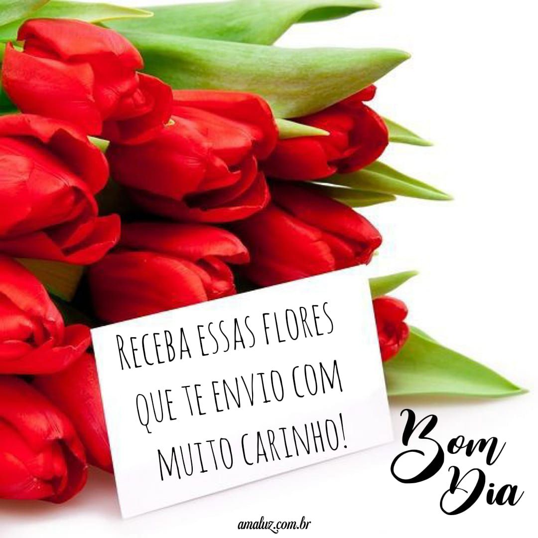 Reecba essa flores que te envio nesse cartãozinho