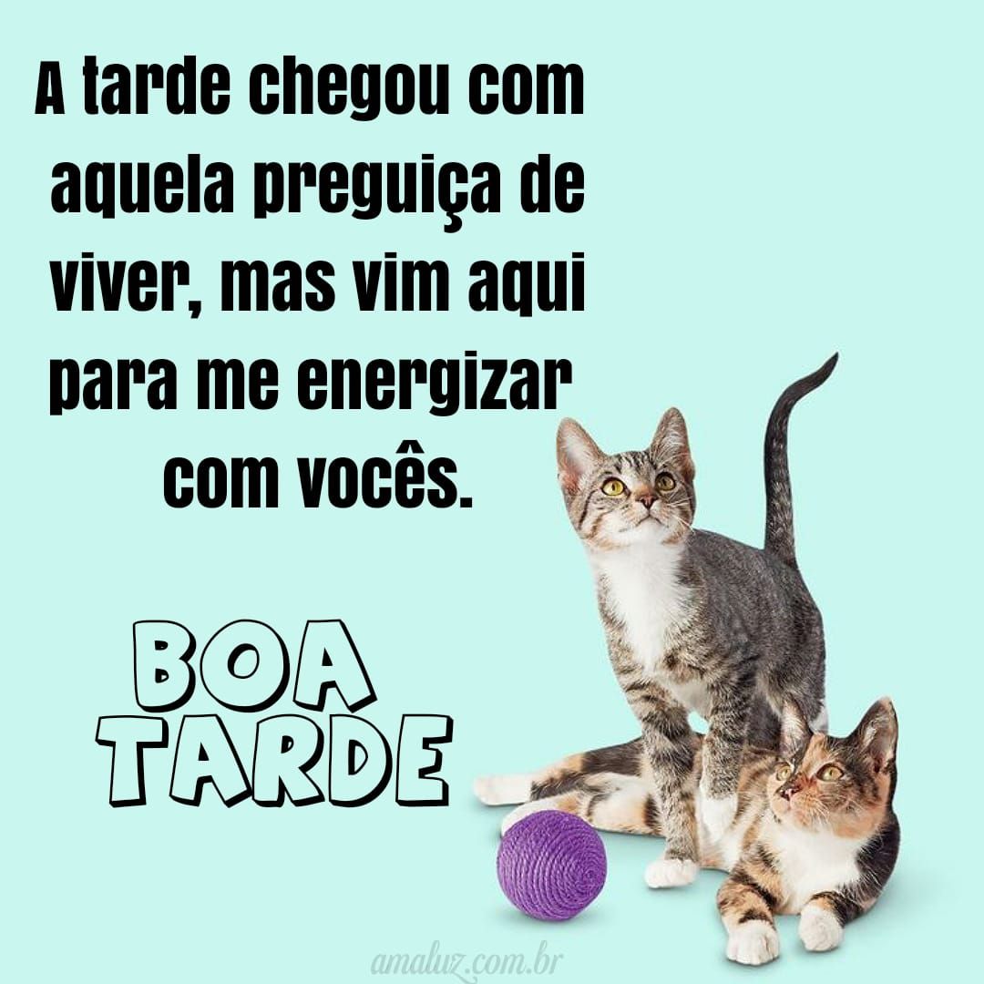 Tarde chegou cheia de preguiça