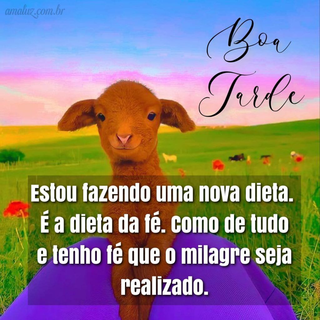 Um boa tarde com mensagens de humor engraçadas