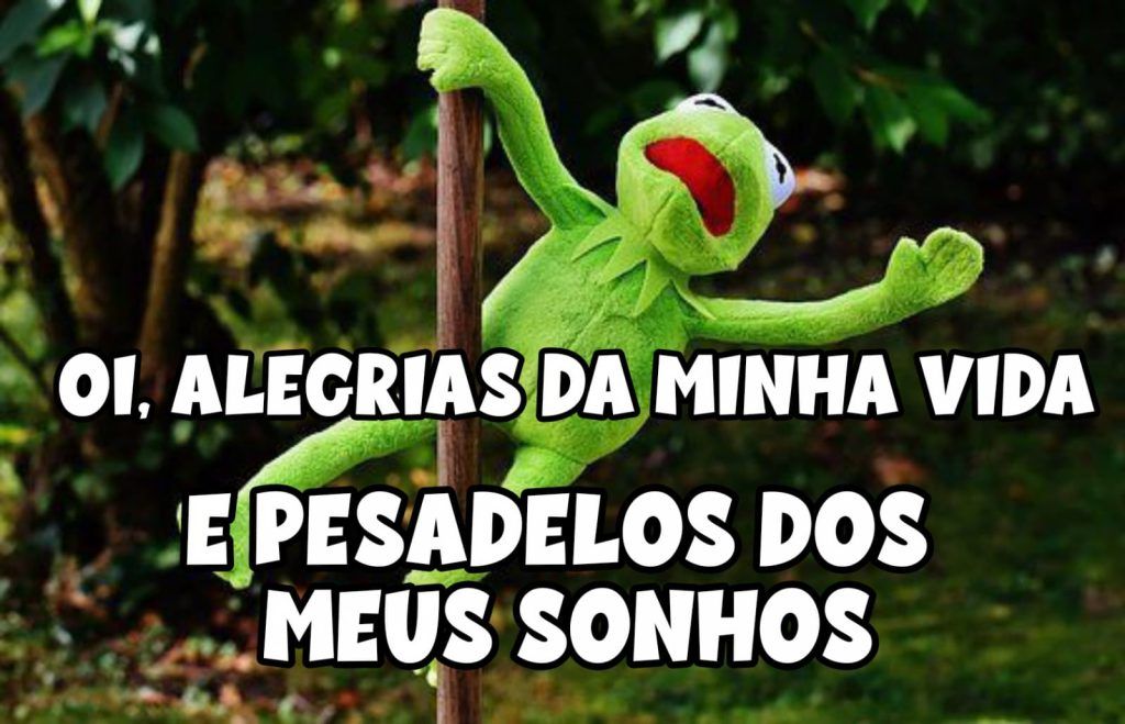 status com imagens engraçadas