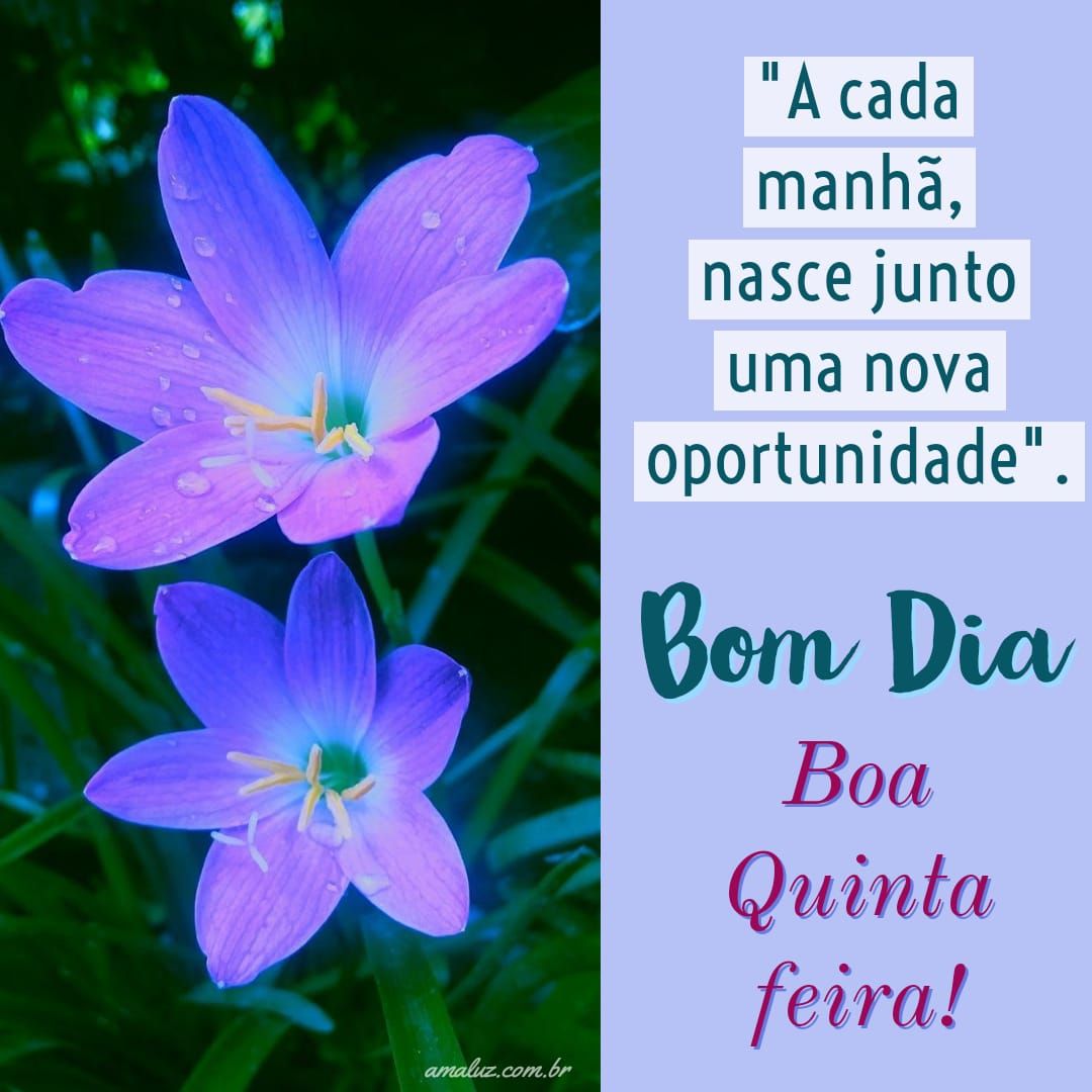 Boa quinta feira de motivação