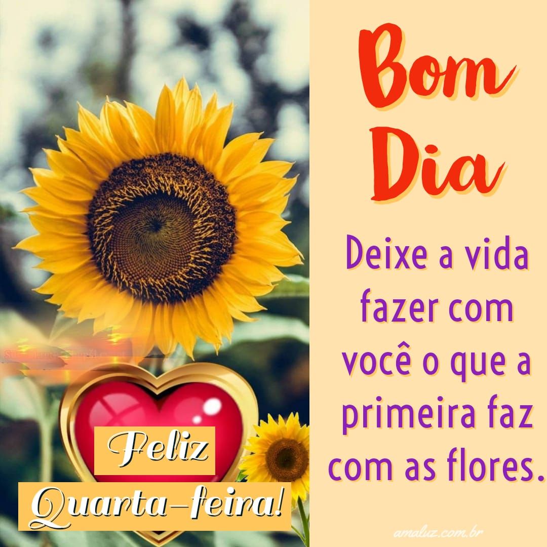 Bom-dia-com-uma-feliz-quarta-feira