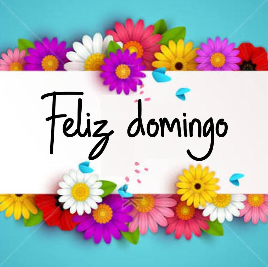 Bom dia domingo com carinho