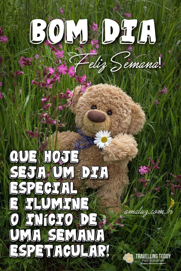 Imagens bonitas para desejar bom dia