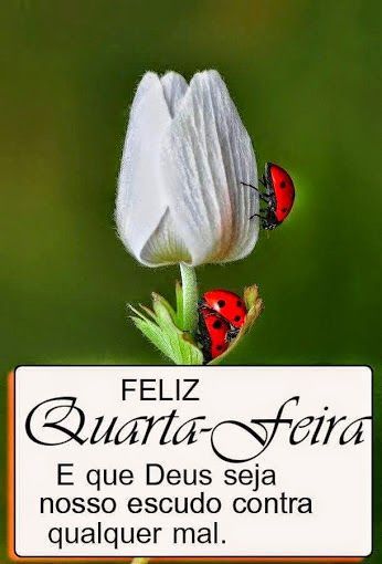 Imagens para WhatsApp de bom dia quarta feira