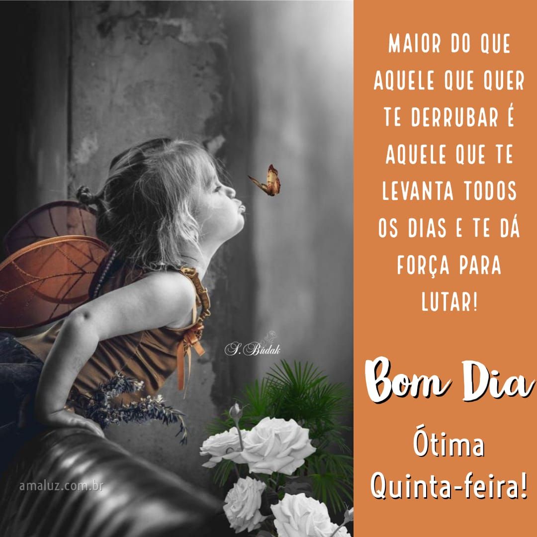 Mensagens de motivação e bom dia