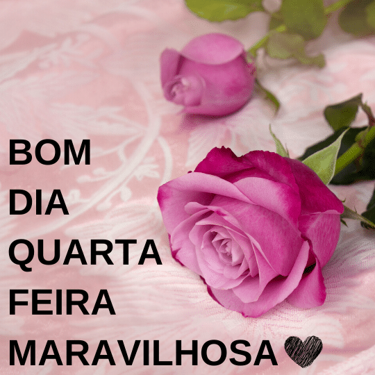 Quarta feira maravilhosa bom dia