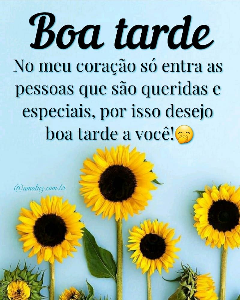 Boa tarde de domingo com muita felicidade e renovo