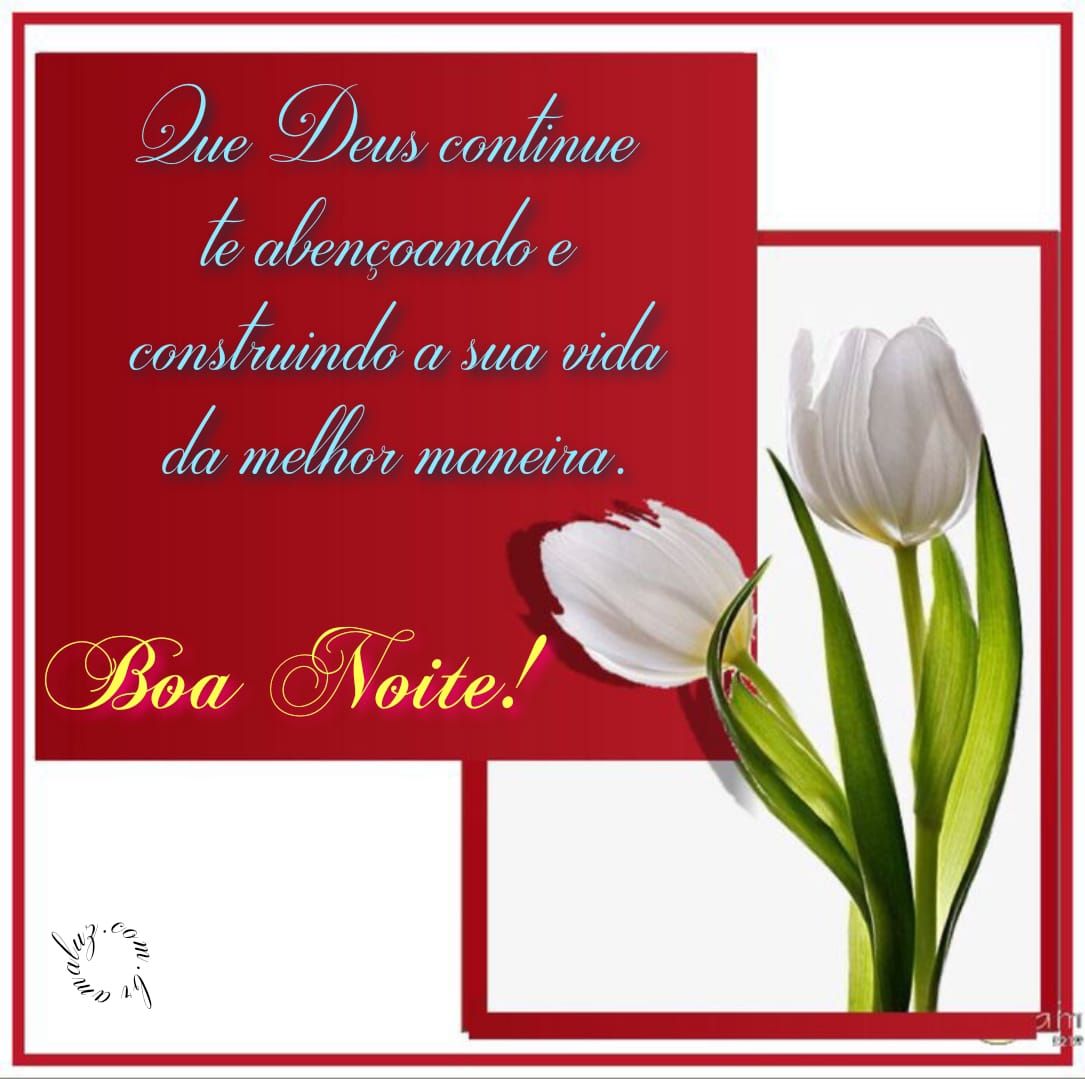 Boa noite abençoada para status