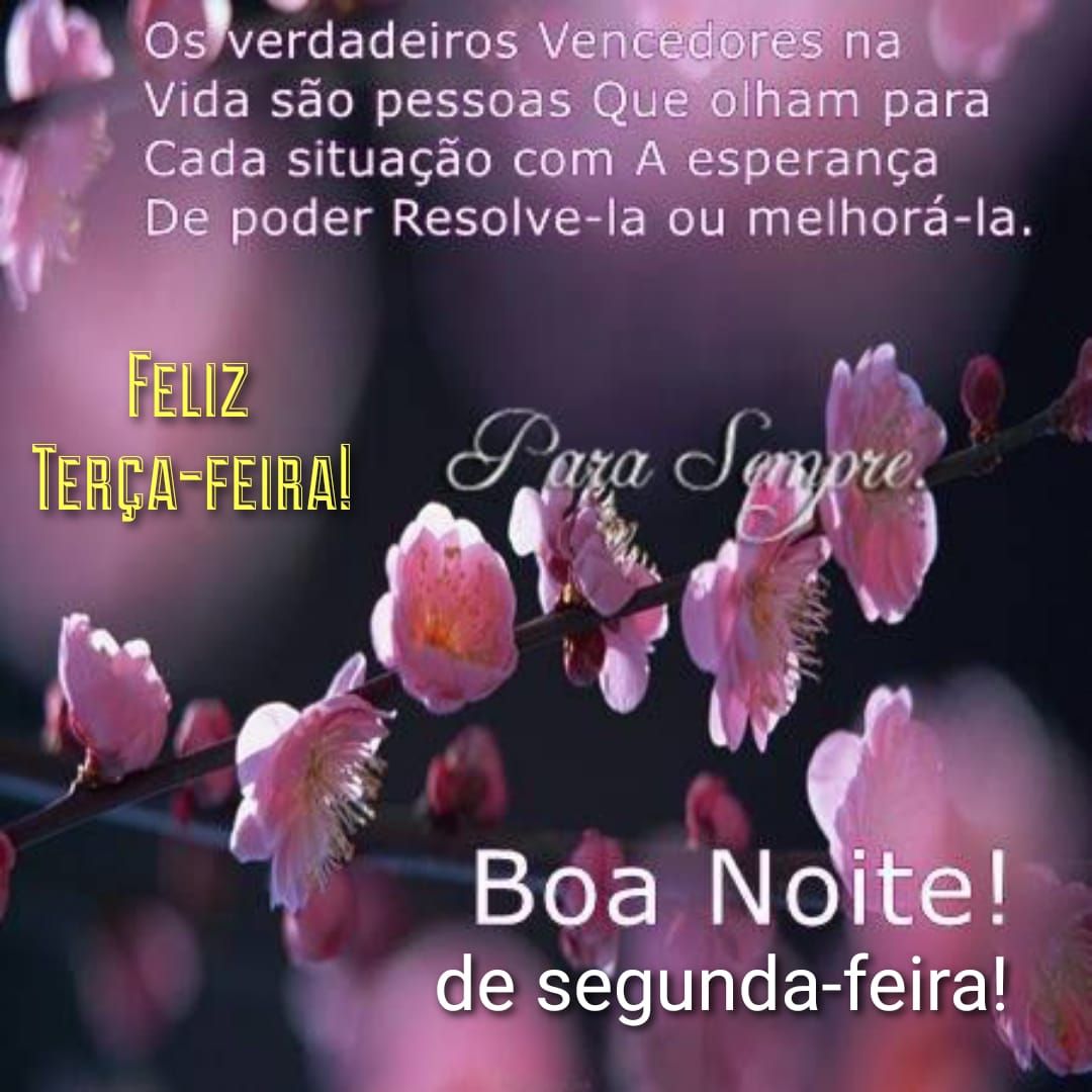 Boa noite de segunda feira, feliz terça feira