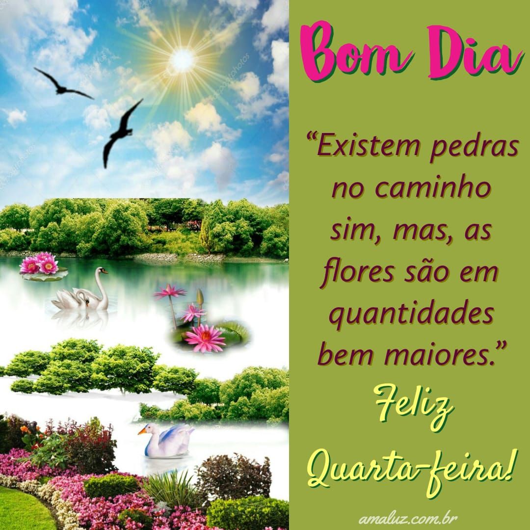 Bom dia com imagens de sol e feliz quarta feira