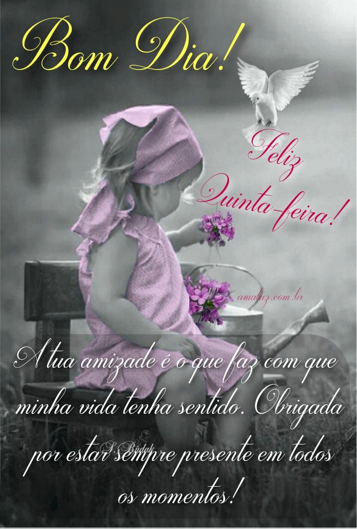 Feliz quinta feira bom dia