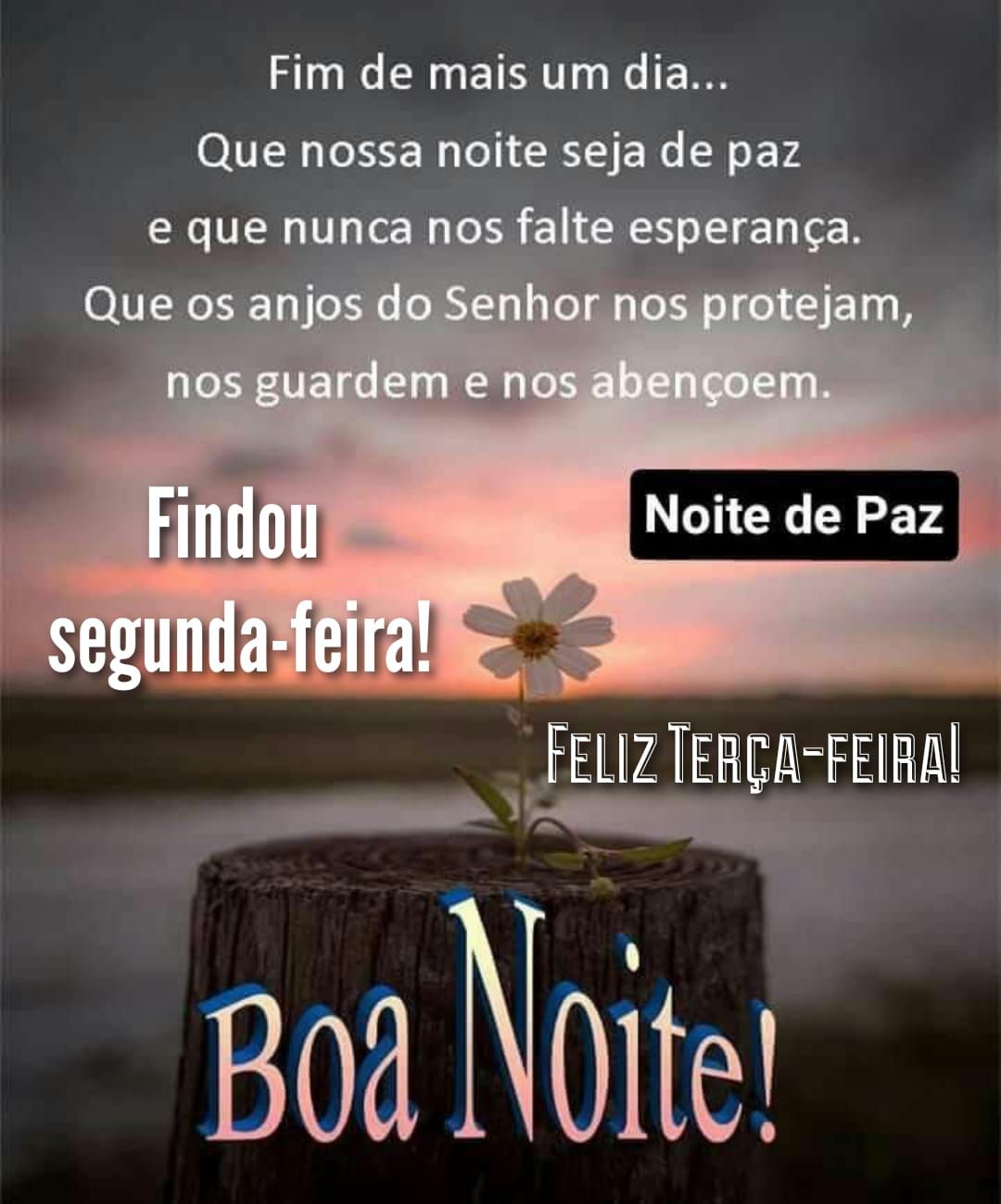 Findou segunda feira, boa noite