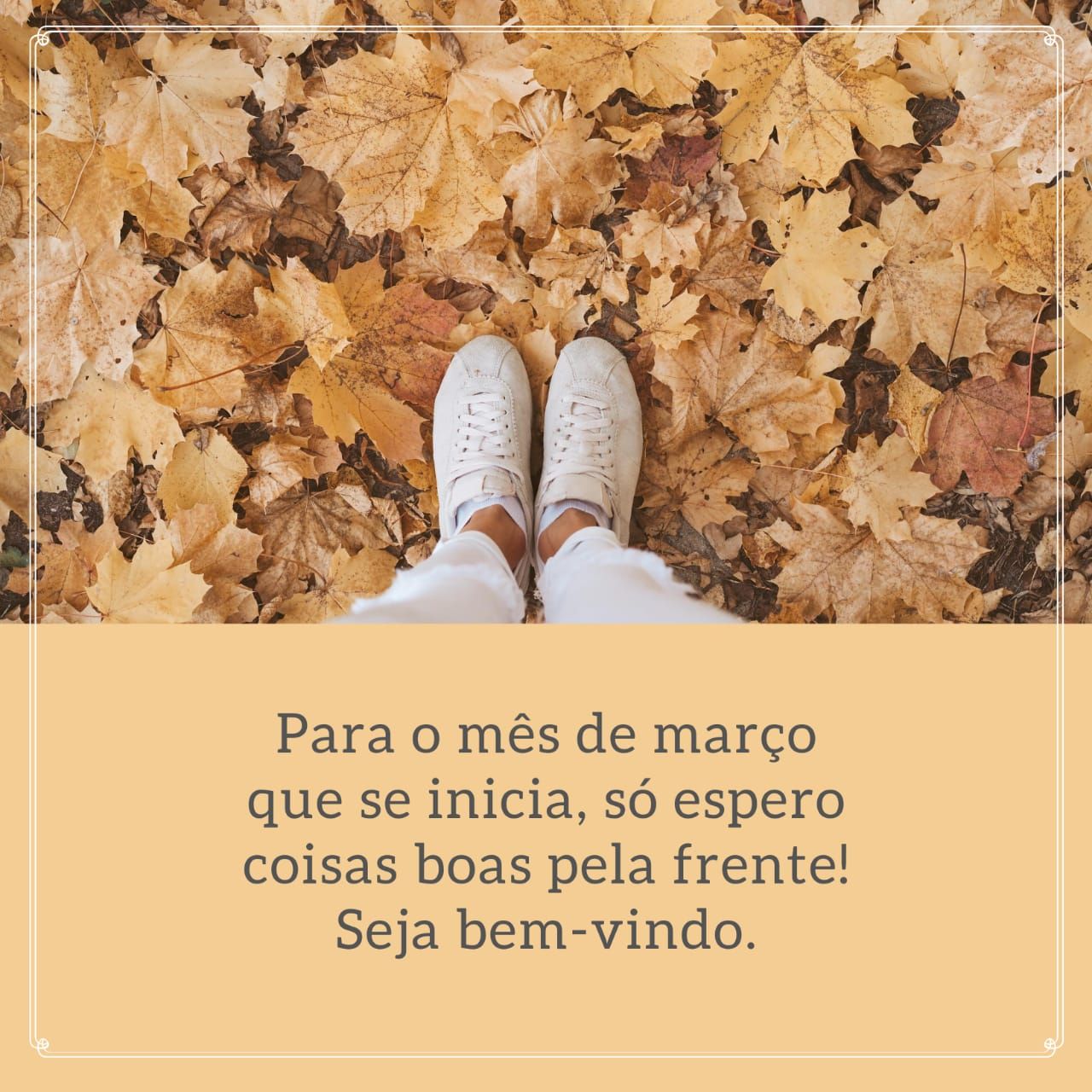 Seja bem vindo mês de março que se inicia