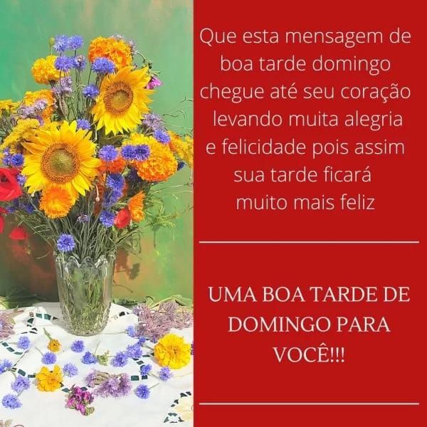 Uma boa tarde de domingo para você