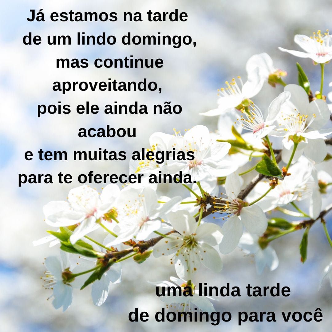 Uma linda tarde de domingo
