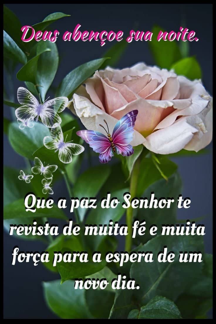 Boa noite com positividade