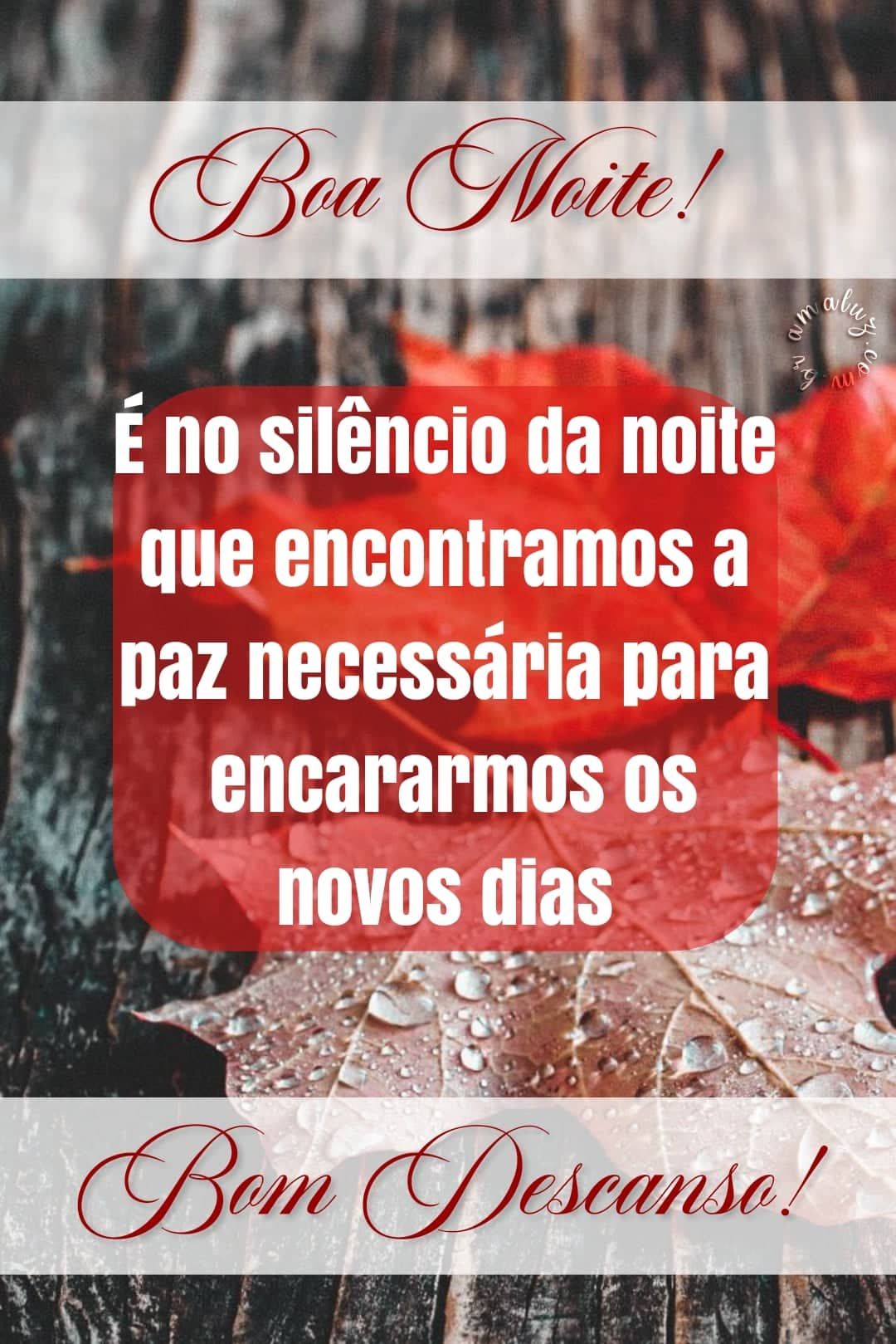 Boa noite te desejo um bom descanso