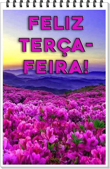 Boa terça feira com um dia alegre e com novidades