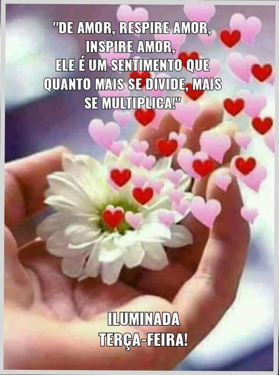Bom dia, de amor respire amor! Feliz terça feira.