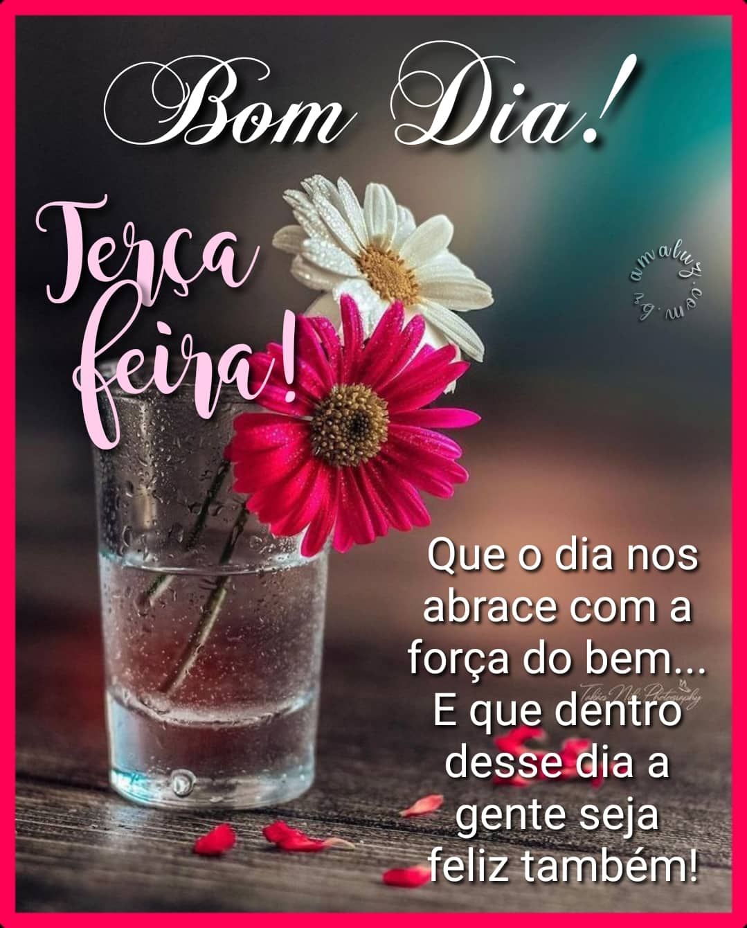 Bom dia de terça feira a você e sua linda família