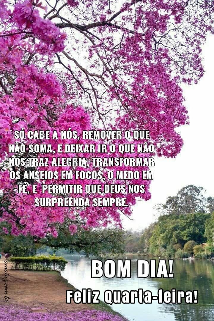 Bom dia e feliz quarta feira com mensagens de Deus