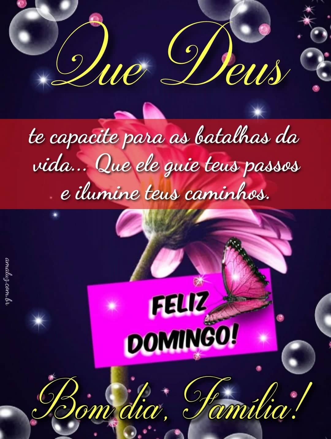 Bom dia família um feliz domingo a todos