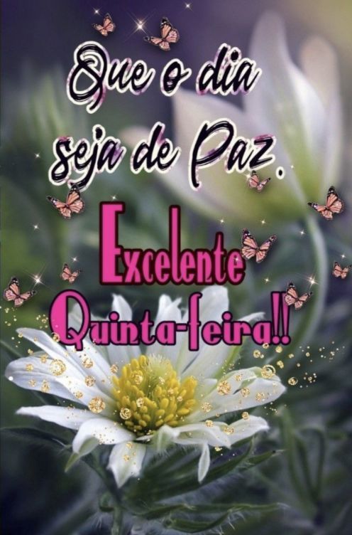 Bom dia feliz quinta feira e uma excelente quinta