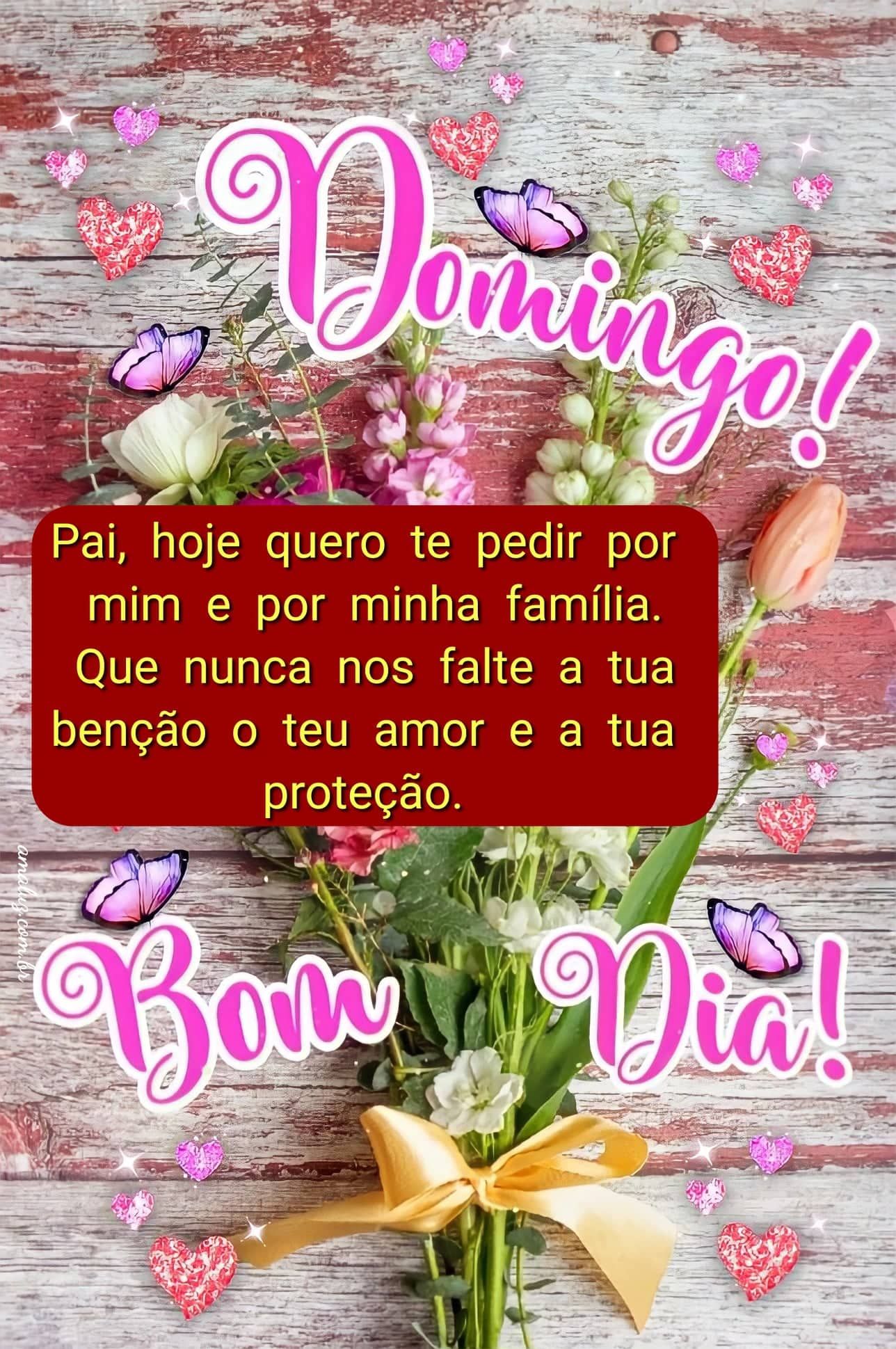 Bom dia hoje é domingo dia de estar com a família