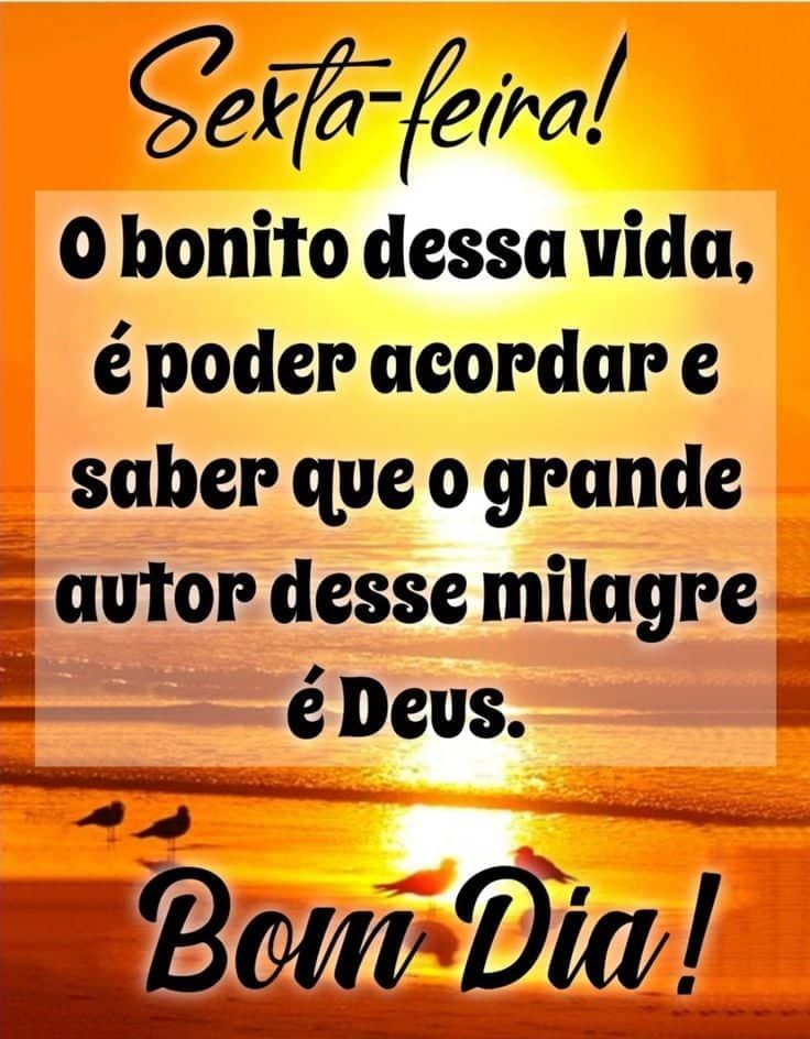 Bom dia hoje é sexta feira