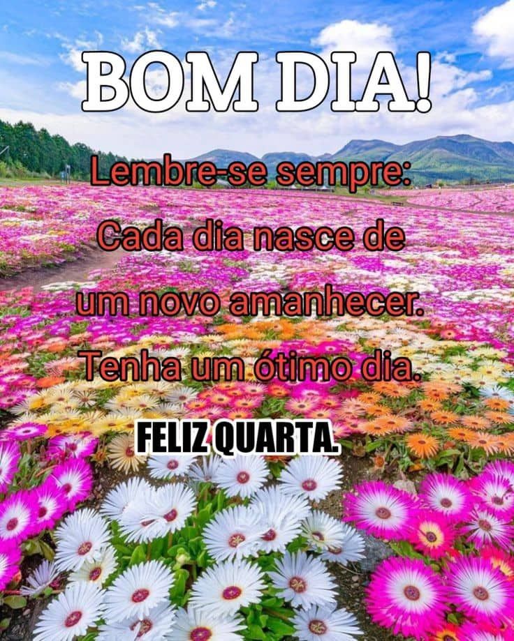 Bom dia ótimo dia de quarta feira