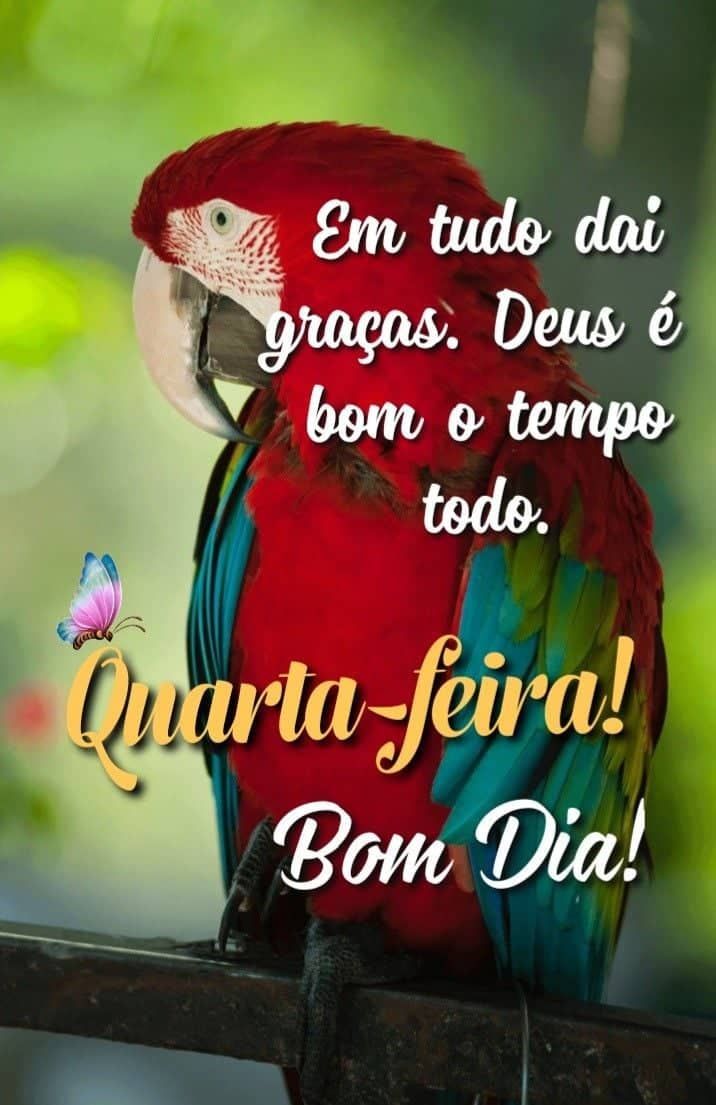 Bom dia quarta feira chegou